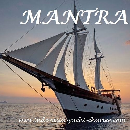 Mantra-Logo.jpg