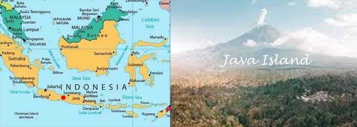 Island-Java.jpg