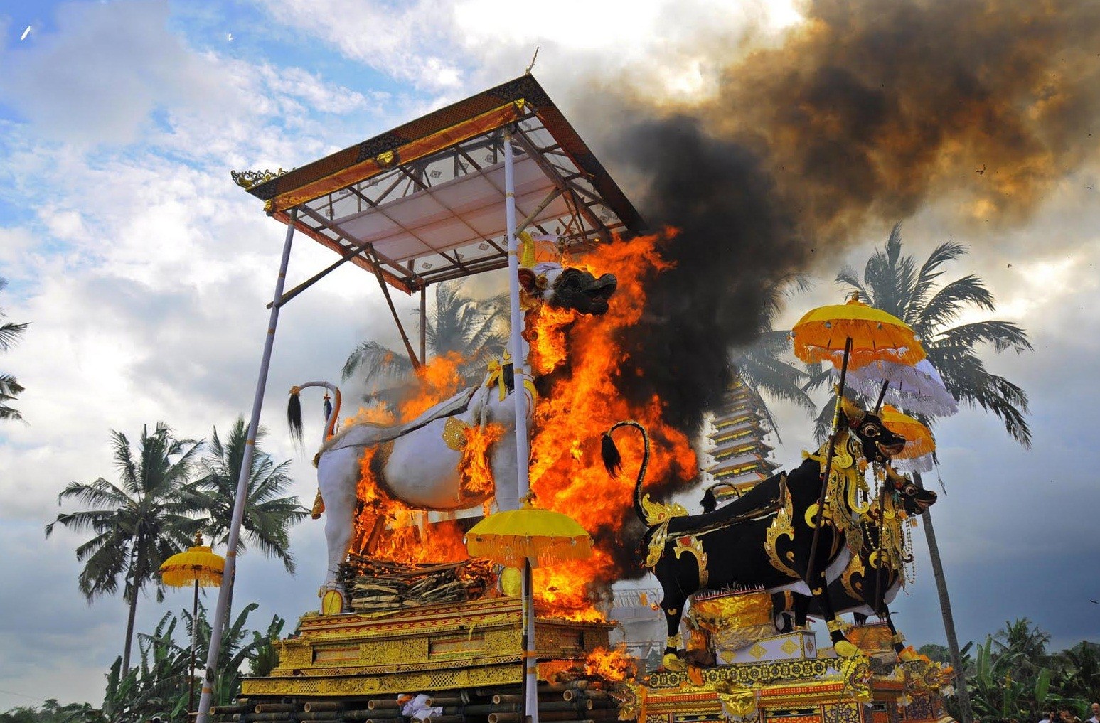 pembakar1.jpg