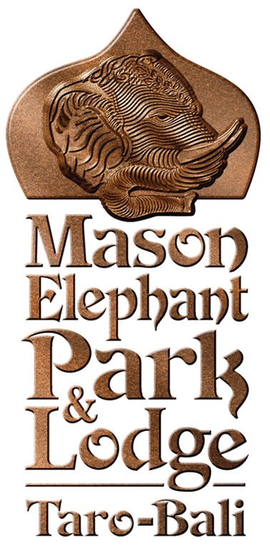 Home-Mason-Adventures-Elephant-Logo.png
